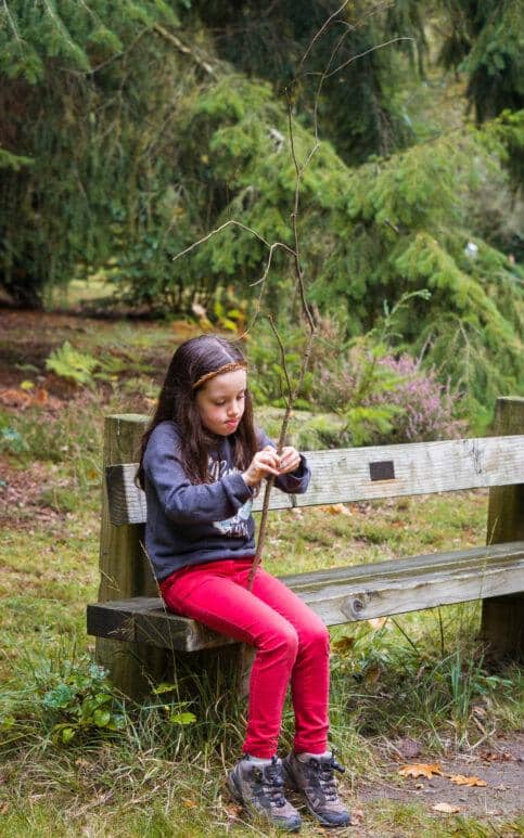 blackwater arboretum new forest walk