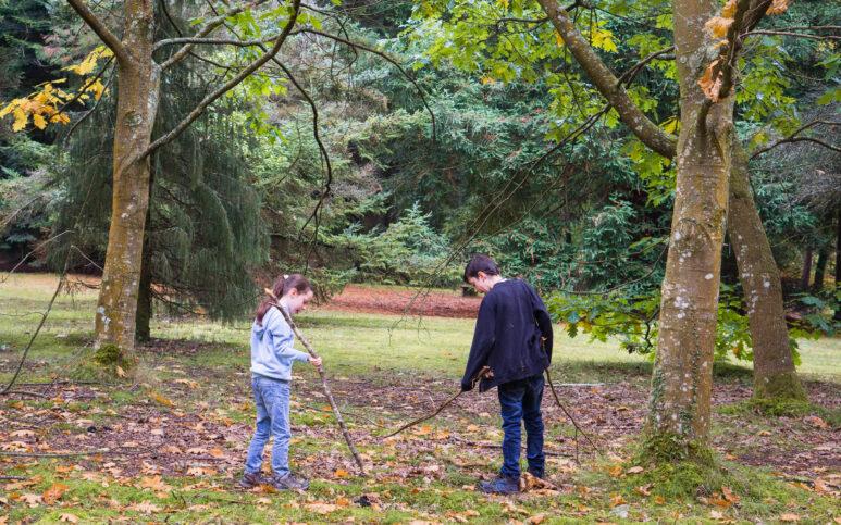 blackwater arboretum new forest walk