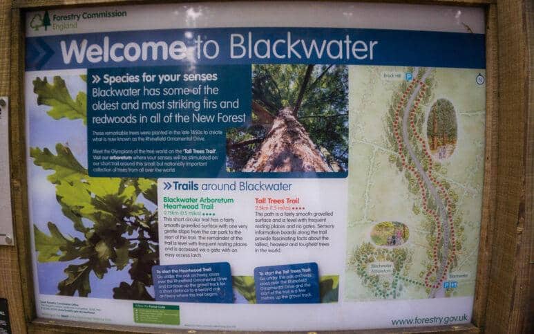blackwater arboretum new forest walk
