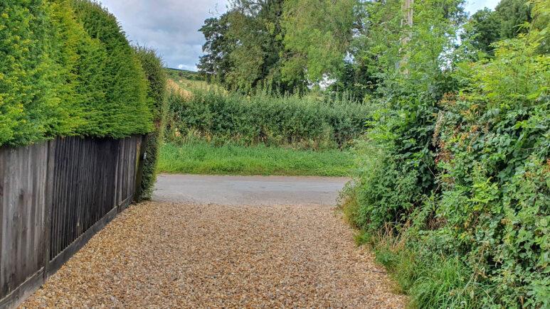 Avington country park walk