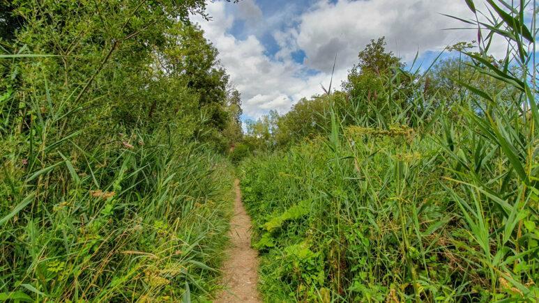 Avington country park walk