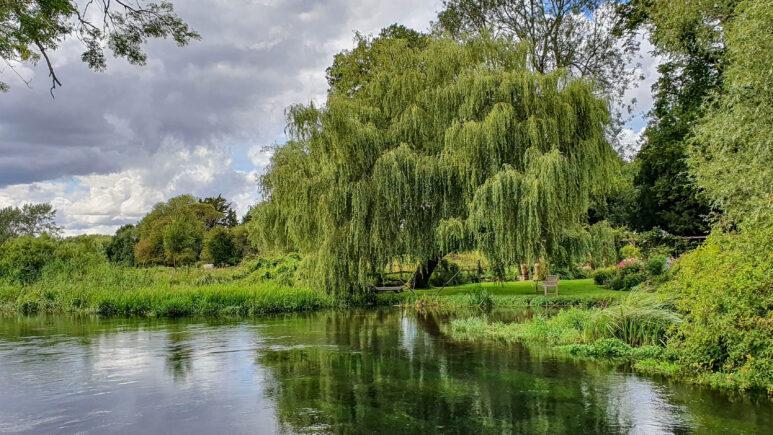 Avington country park walk