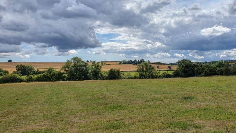 Avington country park walk
