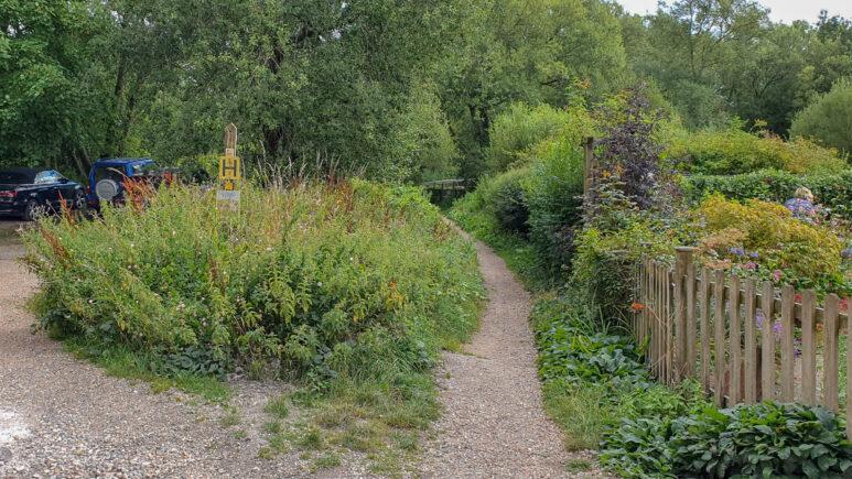 Avington country park walk