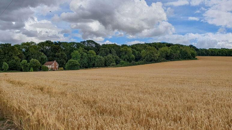 Avington country park walk