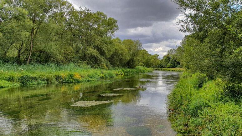 A calm river flows through the lush green vegetation and trees of Avington Country Park under a cloudy sky, with reflections of the foliage visible on the water’s surface.