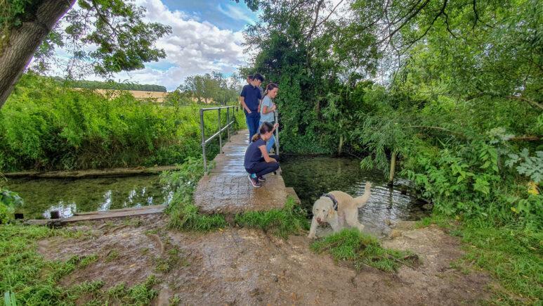 Avington country park walk