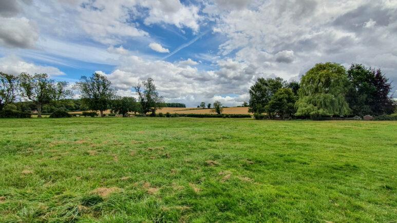 Avington country park walk
