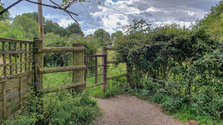 Avington country park walk