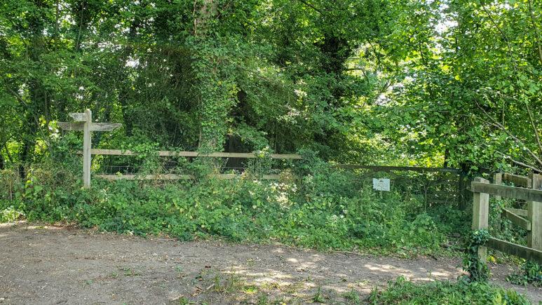 A wooden fence and signpost are surrounded by dense green foliage and trees on a sunny day. A dirt path, part of the Owslebury circular walk, runs in front of the overgrown entrance, which appears unused.
