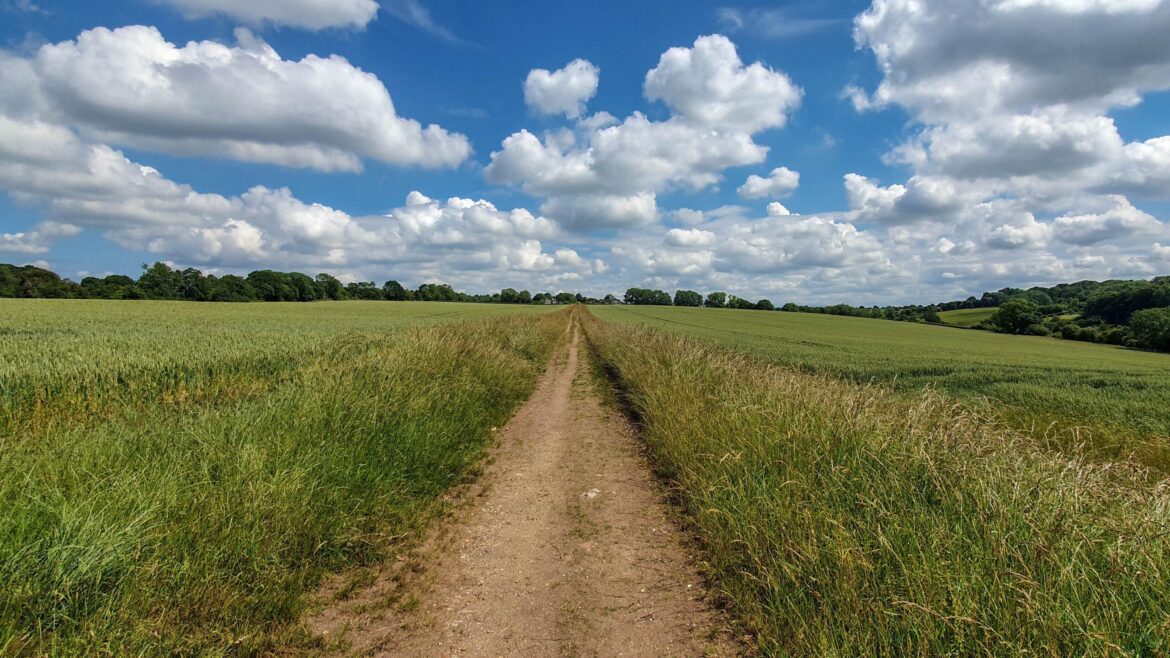 Owslebury Circular Walk A dirt path, part of the Owslebury circular walk, runs through the middle of a green field under a bright blue sky with scattered white clouds. Tall grass lines both sides of the path, with trees visible in the distance.