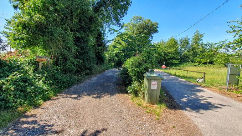 A fork in a rural gravel road along the Owslebury circular walk is surrounded by lush greenery. A green rubbish bin stands at the split, with trees and bushes on both sides, and a small wooden sign marks the left path beneath a clear blue sky.