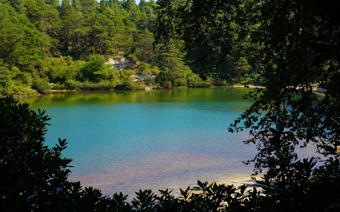 The Blue Pool Wareham Dorset A calm, turquoise lake surrounded by dense green forest, with sunlight reflecting on the water and leafy branches framing the scene in the foreground.