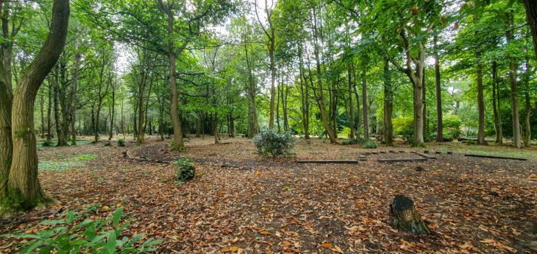 Winkworth Arboretum National Trust