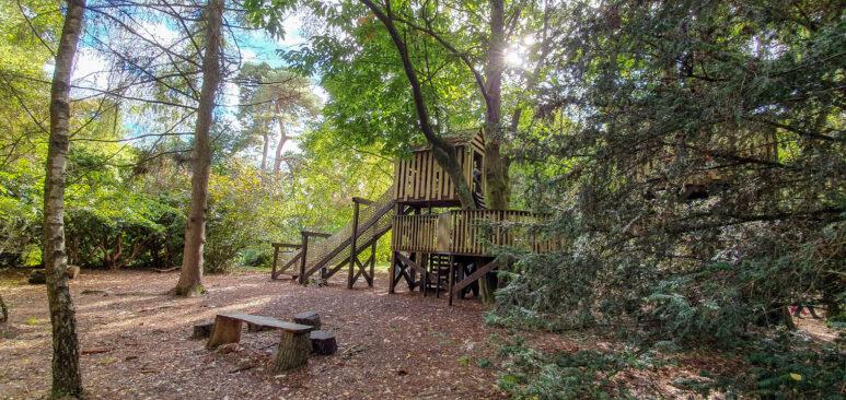Winkworth Arboretum National Trust play area