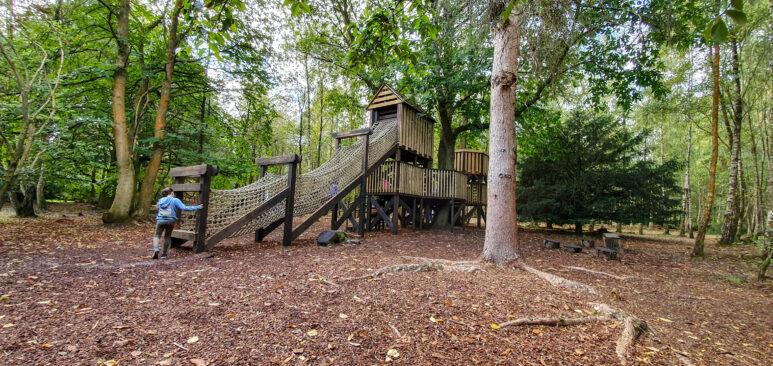 Winkworth Arboretum National Trust play area