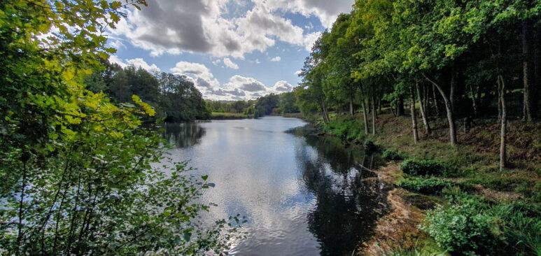Winkworth Arboretum National Trust lake