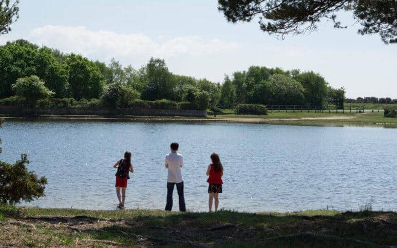 Hatchet Pond New Forest