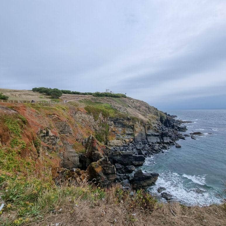 Lizard Point