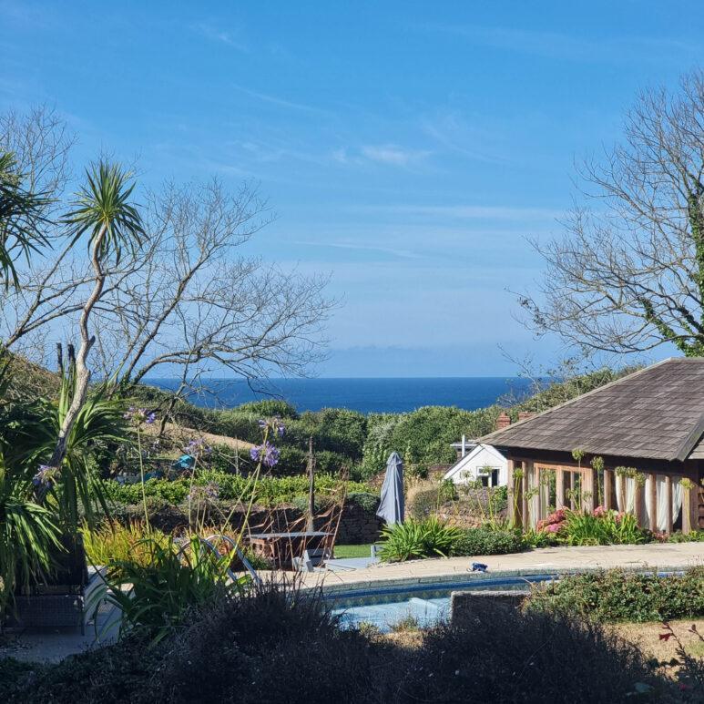 View of a lush garden with tropical plants, a small pool, a wooden building, and the sea in the distance under a blue sky. Leafless trees frame the scene, creating a peaceful, coastal atmosphere.