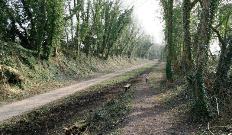circular walk in Droxford Hampshire