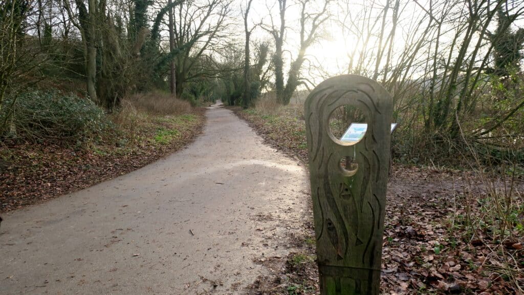 St Catherine's Hill walk