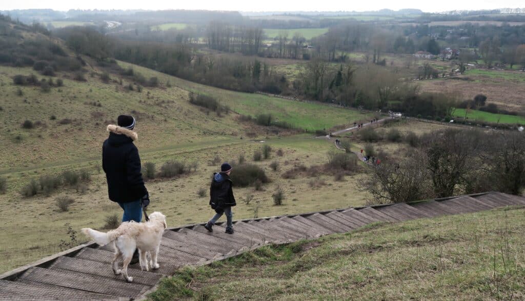 St Catherine's Hill walk