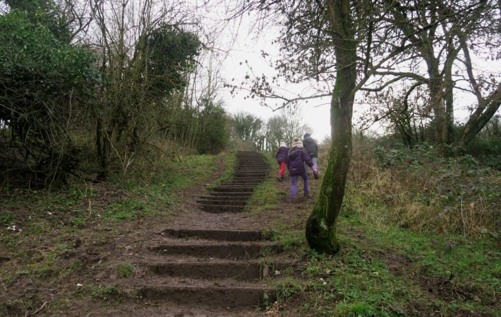 St Catherine's Hill walk