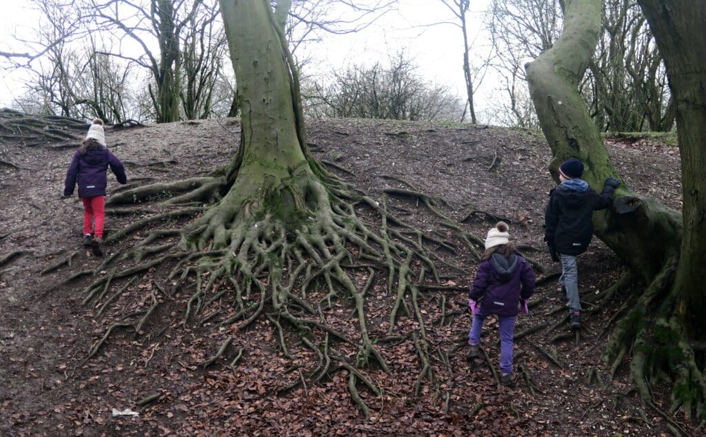 St Catherine's Hill walk