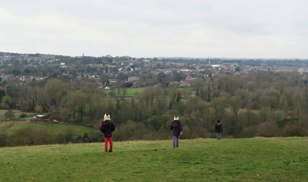 St Catherine's Hill walk