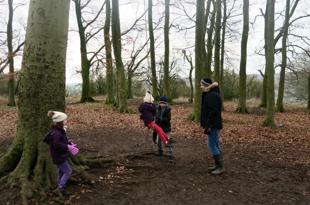 St Catherine's Hill walk