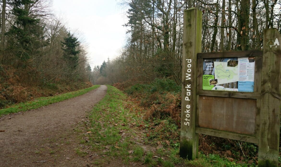A dirt path runs through a woodland area with tall trees. A wooden signpost reads Stoke Park Wood and a noticeboard displays maps and information. The scene is overcast with fallen leaves on the ground.