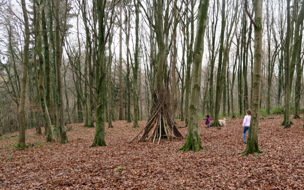 Stoke Park Woods Hampshire