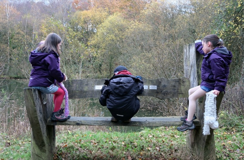 swanwick lakes nature reserve