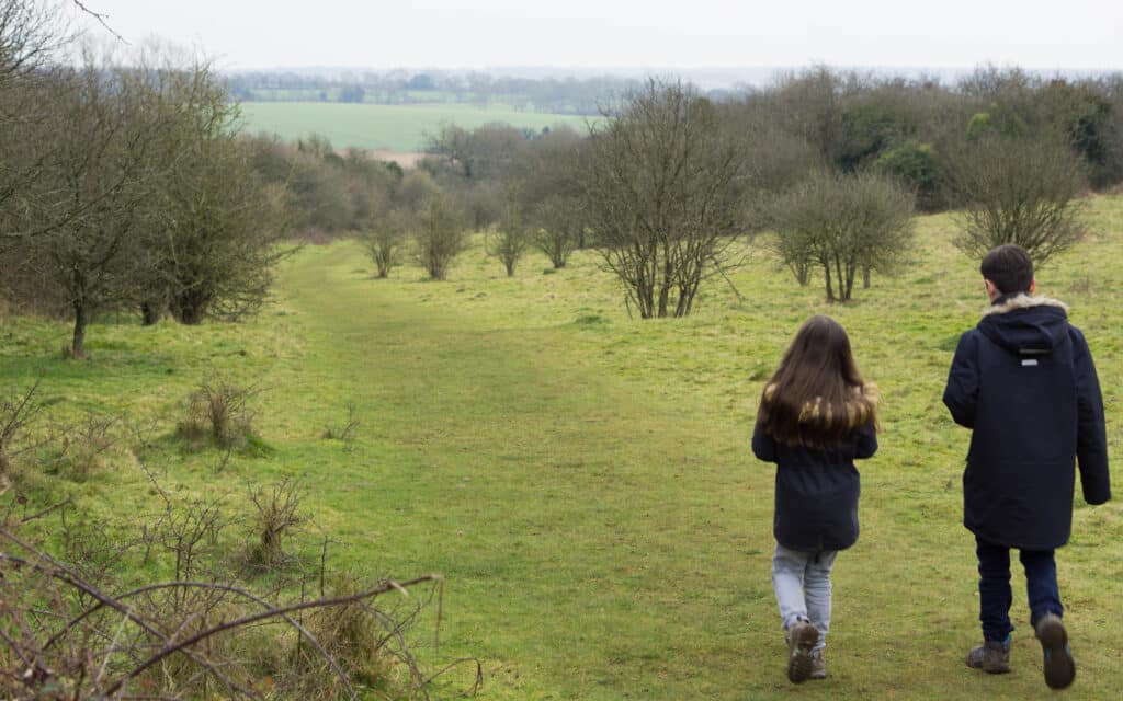 Stockbridge Down walk