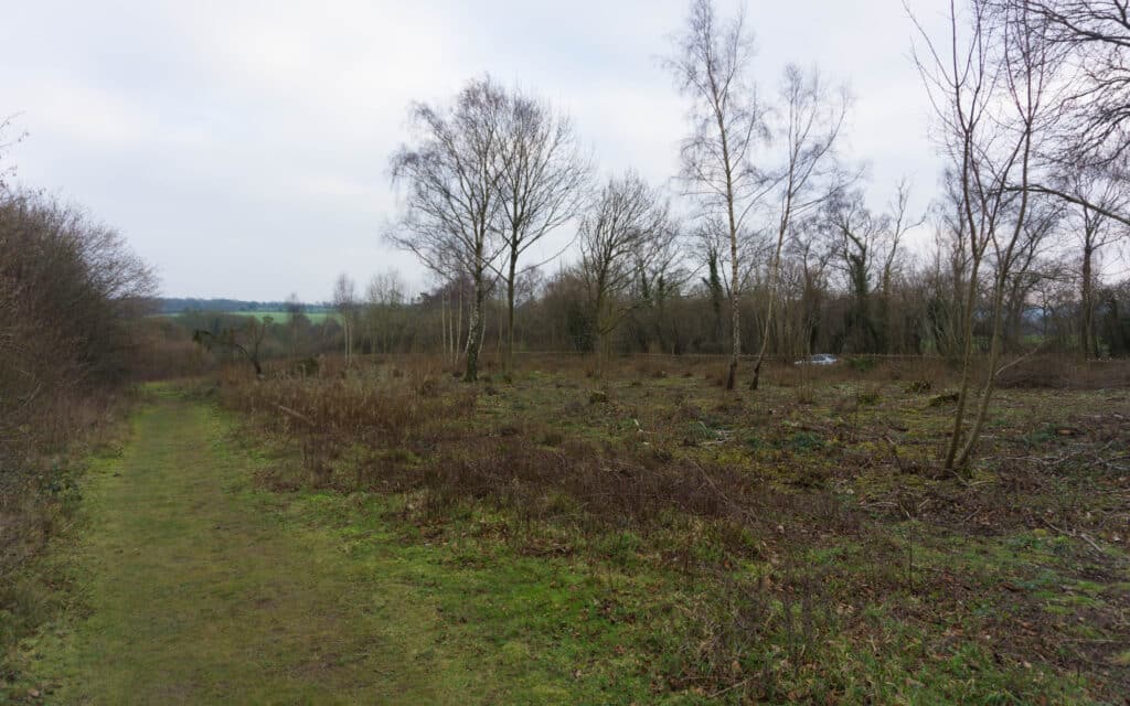 Stockbridge Down walk