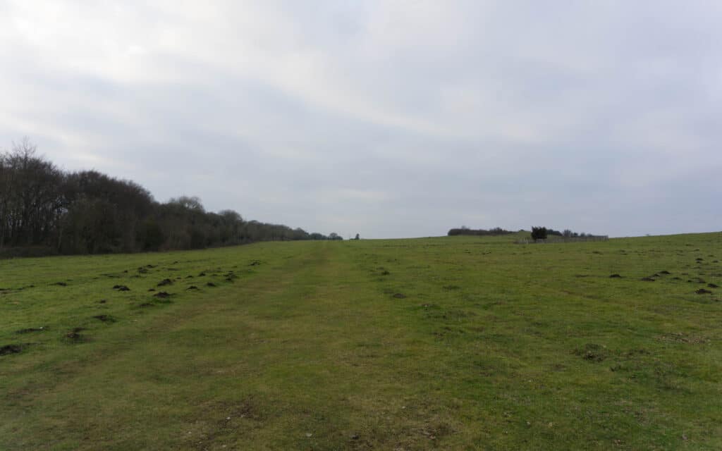 Stockbridge Down walk