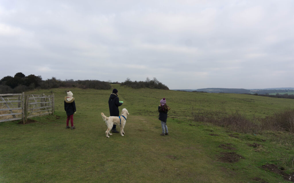 Stockbridge Down walk