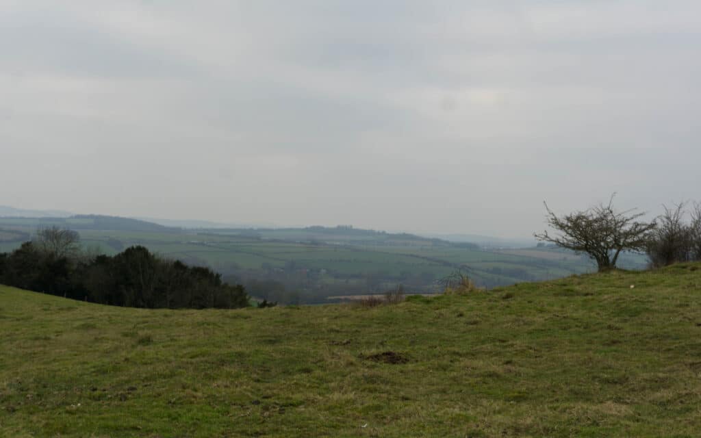 Stockbridge Down walk