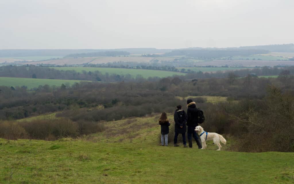 Stockbridge Down walk