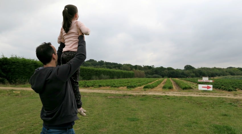 A man lifts a young girl into the air in a grassy field near rows of crops at Pickwell Farm. A sign with a red arrow points to the right, and trees line the background under a cloudy sky, hinting at pumpkins nearby.