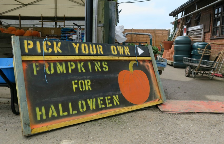 A weathered sign reading “Pick Your Own Pickwell Farm Pumpkins for Hallowe’en,” with a painted orange pumpkin, stands outside a farm shop filled with gardening supplies and a trolley in the background.
