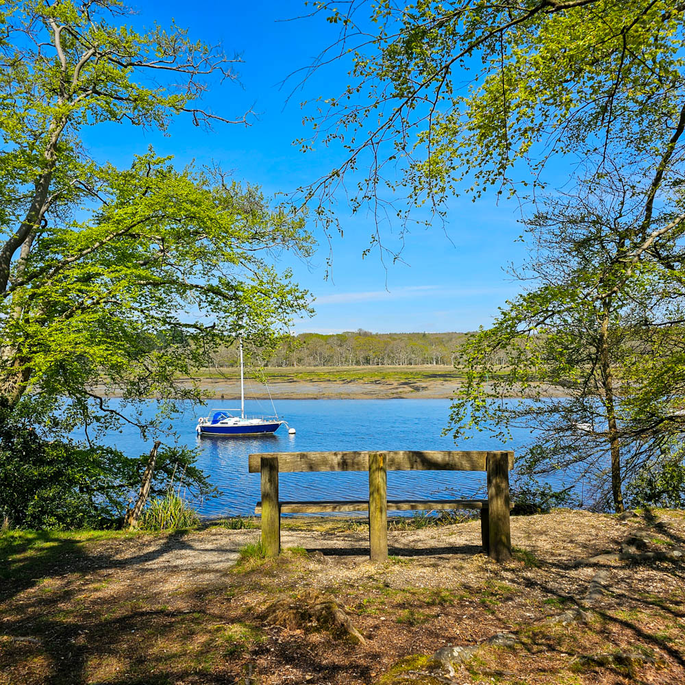 Capturing the Essence of Travel: Creative Memory Preservation A wooden bench overlooks a calm river with a blue sailboat anchored near the shore, creating a perfect spot for Creative Memory Preservation. Green trees frame the scene under a clear blue sky on a sunny day.
