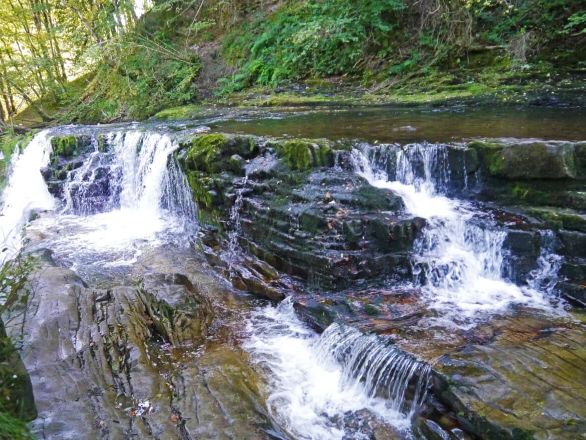 Small waterfalls cascade over layered rocks surrounded by lush green moss and vegetation in a peaceful woodland setting.