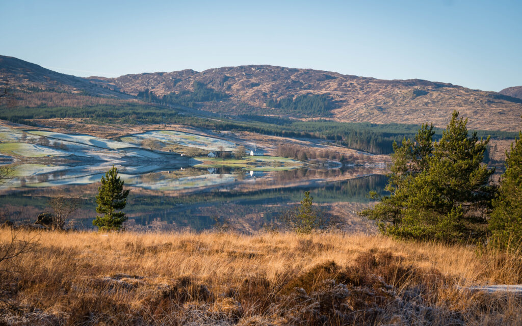 A tranquil landscape featuring golden grass in the foreground, evergreen trees, a still reflective lake, and rolling hills under a clear blue sky.