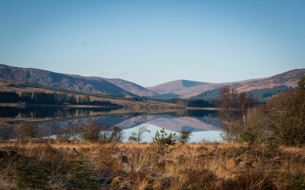 A calm lake reflects distant mountains and a clear blue sky, surrounded by golden grass, sparse trees, and a few shrubs in the foreground.
